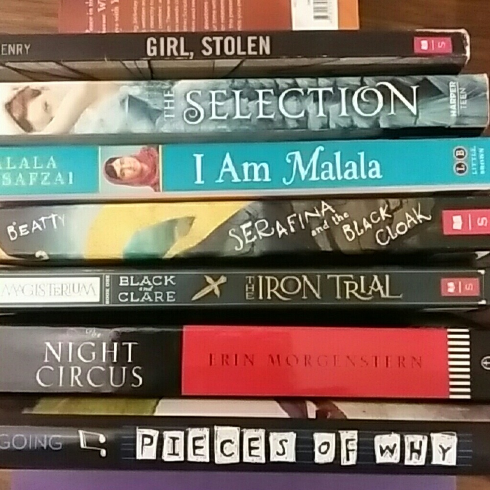 Books: High School Girl Selection